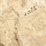 546430
