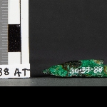 546504