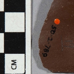 547516
