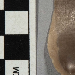 547614