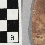 547649