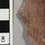 547833