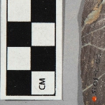 547841