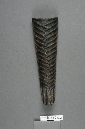 E12562
