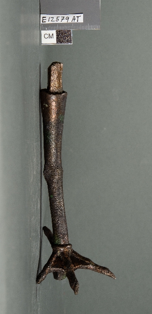 E12579