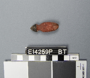 E14259P
