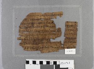 E16351