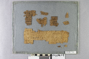 E16698