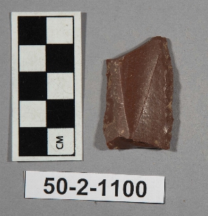 50-2-1100