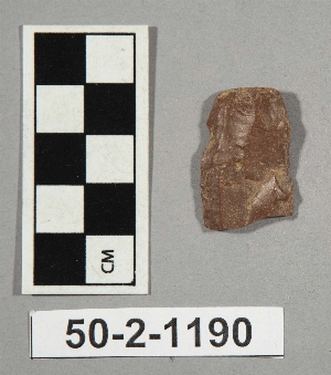 50-2-1190