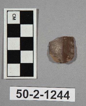 50-2-1244