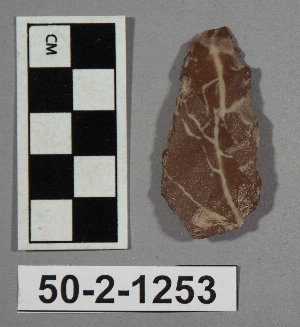 50-2-1253