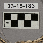 550272