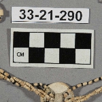 550363