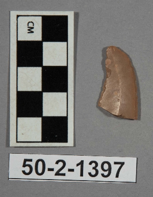 50-2-1397