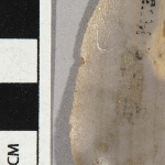 551812