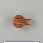 552702
