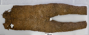 P4621