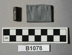B1078