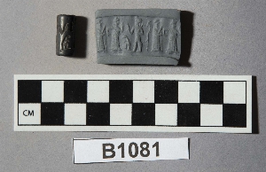 B1081