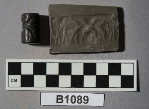 B1089