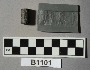 B1101