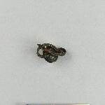 554036