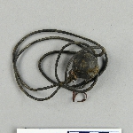 554156