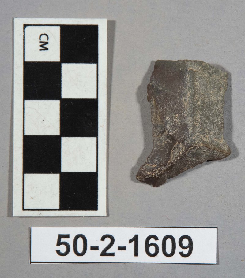 554519