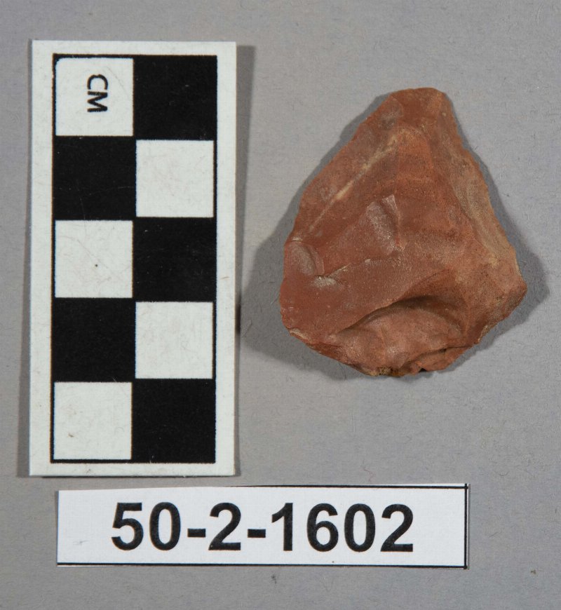 554524
