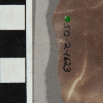 554571