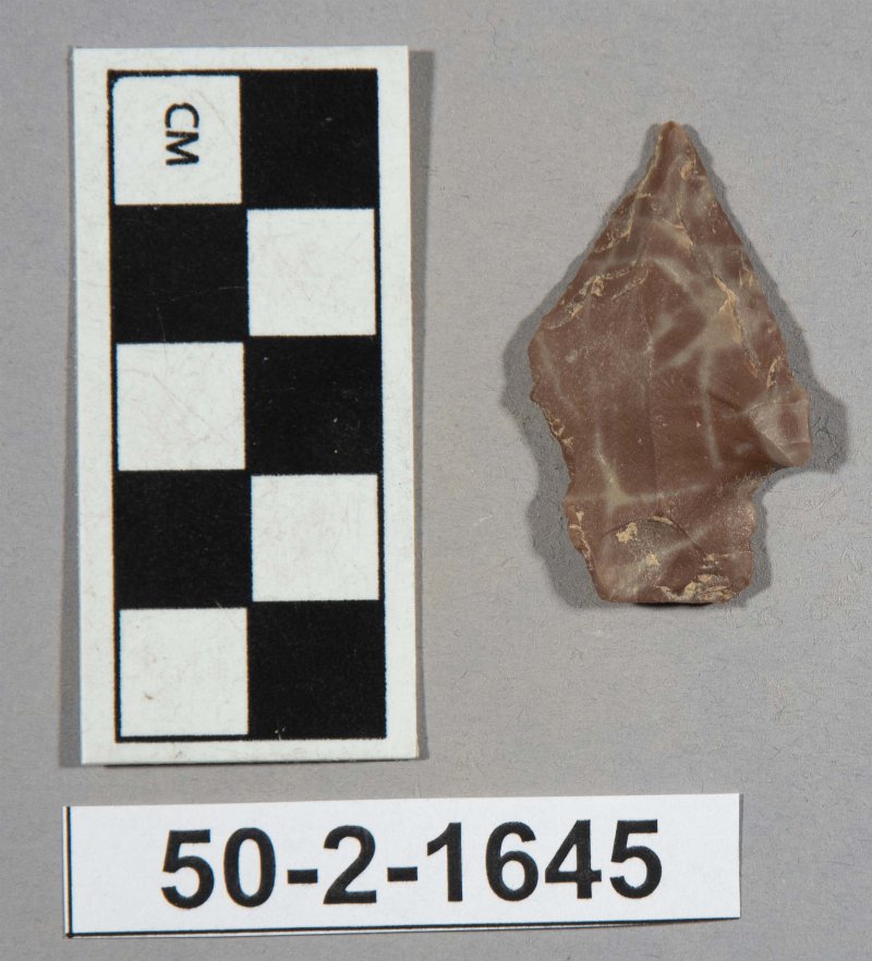 554607