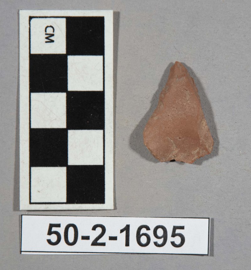 554646