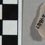 554741