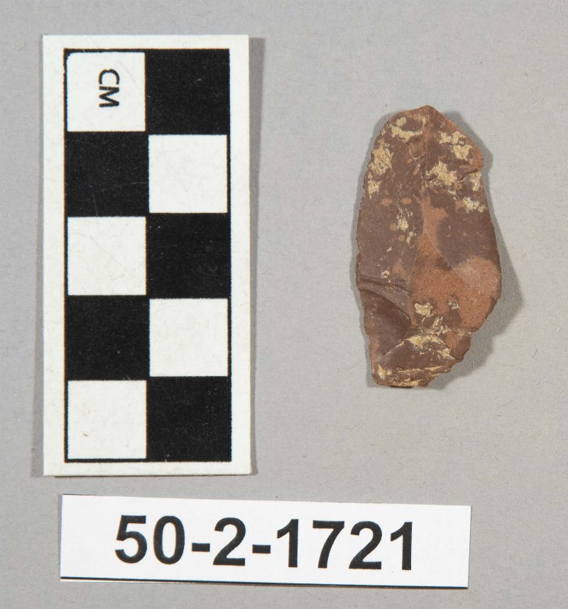 554841