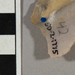 554953