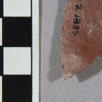 555039