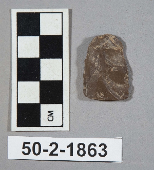 50-2-1863