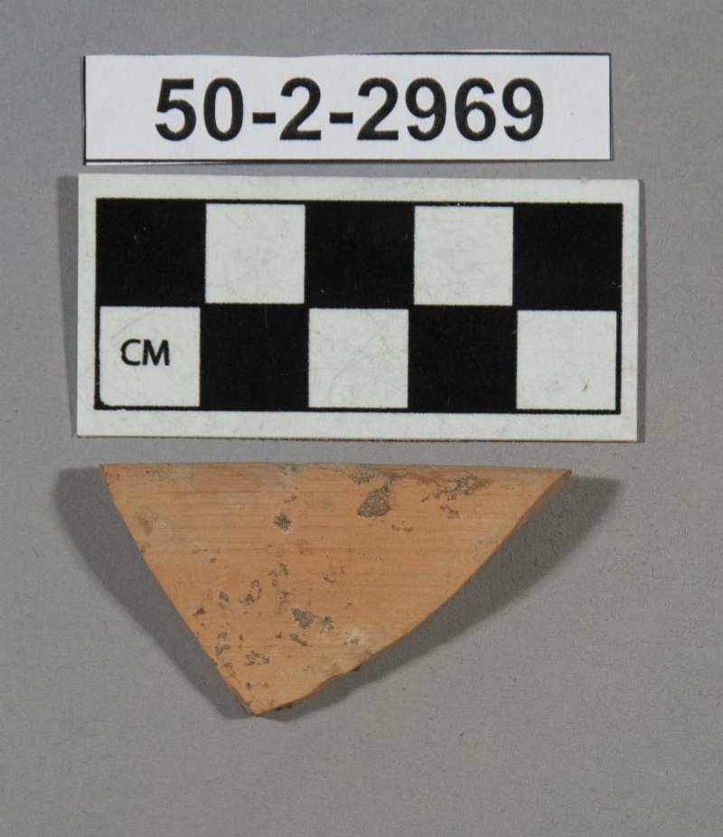 555241