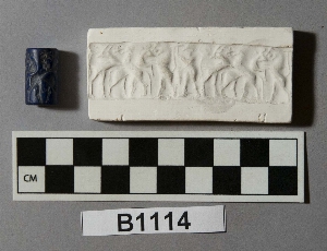 B1114