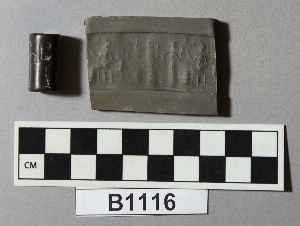 B1116