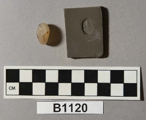 B1120