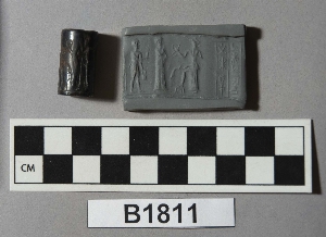 B1811