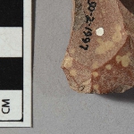 555612