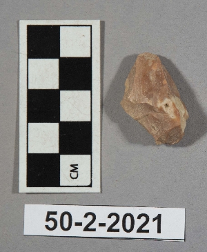 50-2-2021