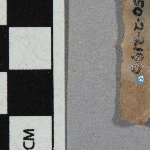 556041