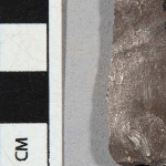 556116