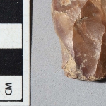 556118