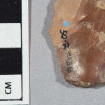 556119