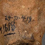 556748